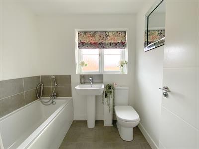 Picture 19